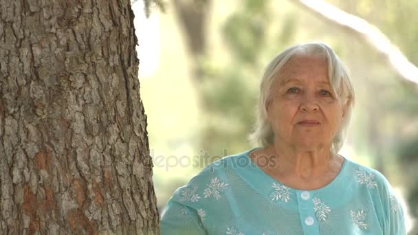 Portret van een grootmoeder in de buurt van de kofferbak van een pine. - Video