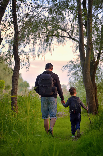 батько і син ходять в лісі
  - Фото, зображення