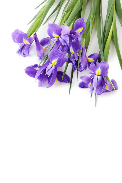 Bouquet of iris flowers - Fotoğraf, Görsel