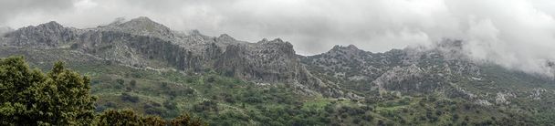 Miłego dnia szary i deszczowa w parku przyrody Grazalema w prowincji Kadyks, Andaluzja, Południowa Hiszpania - Zdjęcie, obraz