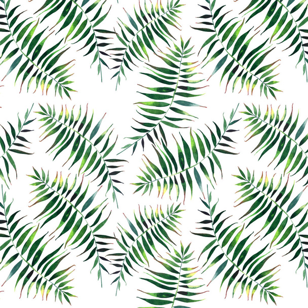 Beautiful green tropical cute lovely wonderful hawaii floral herbal summer pattern of a palms watercolor hand illustration - Фото, зображення