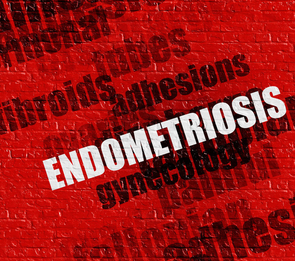 Modern healthcare concept: Endometriosis on Red Brickwall . - Photo, Image