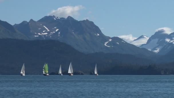 風光明媚な山の範囲での帆ボート - 映像、動画