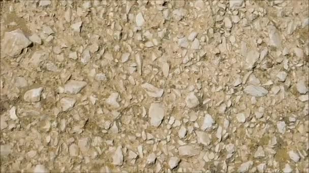 Υφή των πετρών στον κήπο - Πλάνα, βίντεο