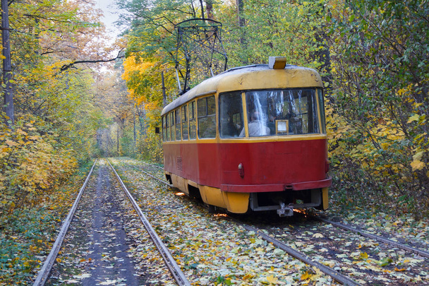Red tram rides in autumn park. Kiev, Ukraine - Zdjęcie, obraz