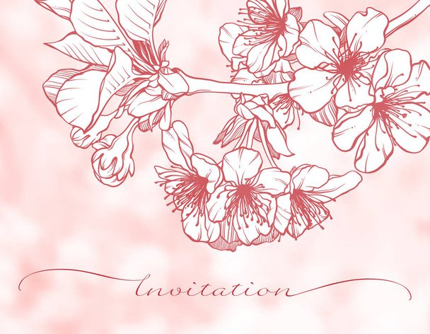 Blossoming cherry graphic branch - Вектор,изображение