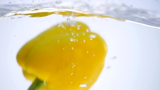 Peppers falling in water on white background - Záběry, video