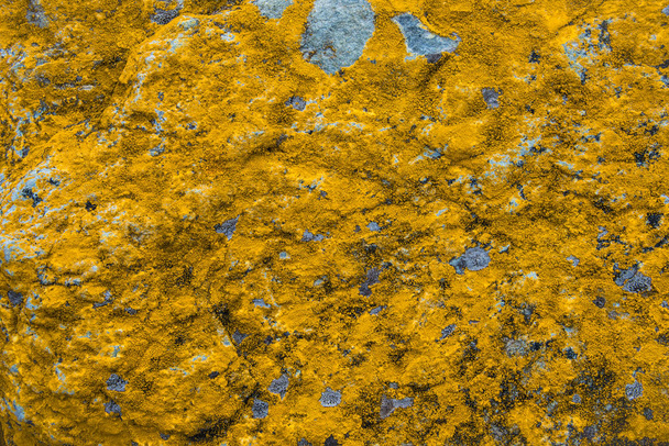 Όμορφη πολύχρωμα λειχήνα μοτίβα στα βράχια στην Παταγονία - Φωτογραφία, εικόνα
