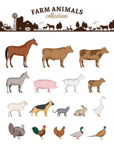 Vector farm animals cartoons - Vector, Image