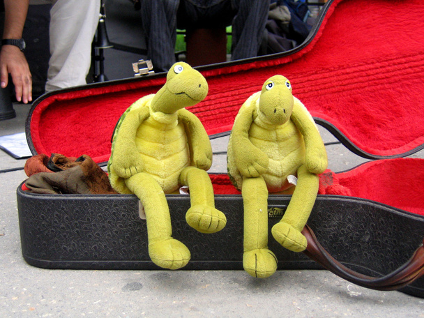 bedelaars schildpadden - Foto, afbeelding