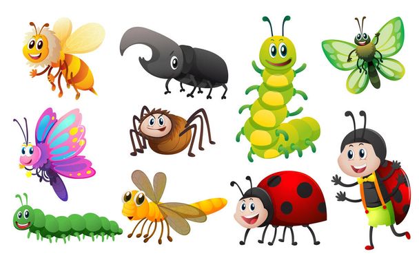 Different kinds of insects - Vektor, obrázek