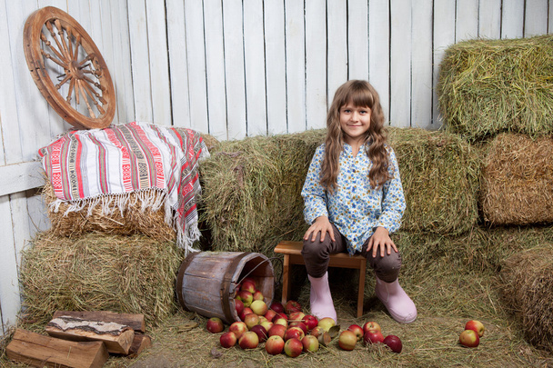 Retrato de menina aldeão perto de balde com maçãs no palheiro
 - Foto, Imagem