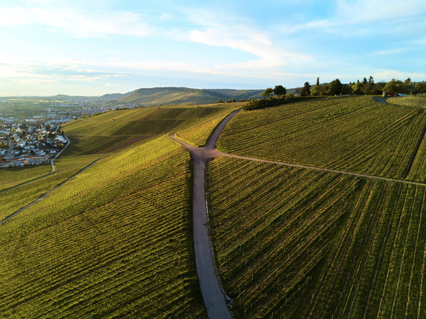 краєвид виноградників на пагорбі зверху з дроном, Джі
 - Фото, зображення