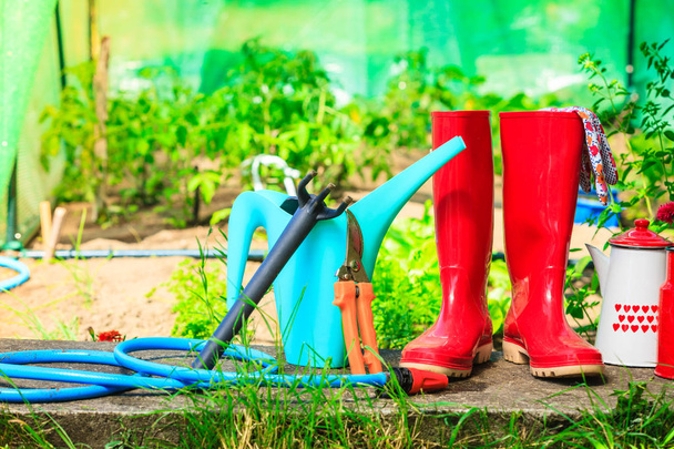 Gardening tools outdoor in garden - Fotoğraf, Görsel