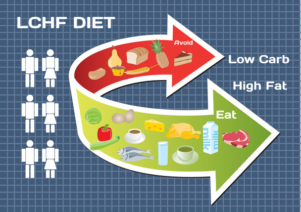Ruokavalion vähärasvainen (LCHF) infografinen
 - Vektori, kuva