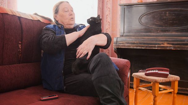 Elderly woman petting black cat - Photo, Image