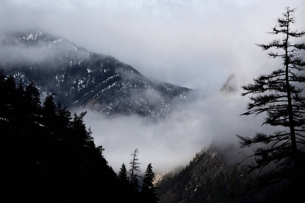 Mountains British Columbia Canada - Valokuva, kuva