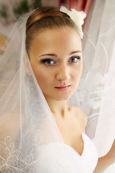 Sweet bride - Photo, image