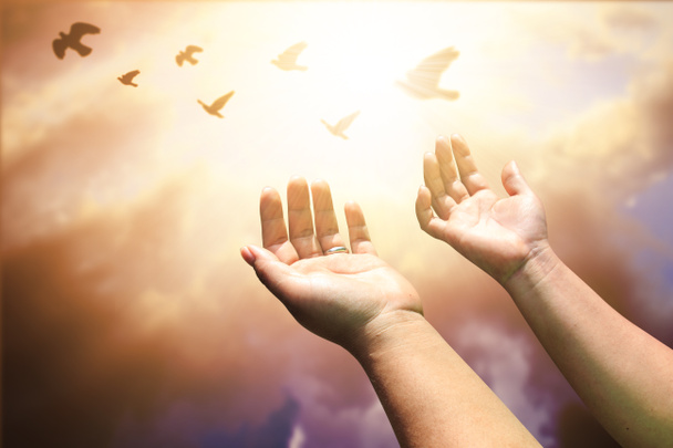 Las manos humanas abren el culto a la palma. Eucaristía Terapia Bendice a Dios Él
 - Foto, Imagen
