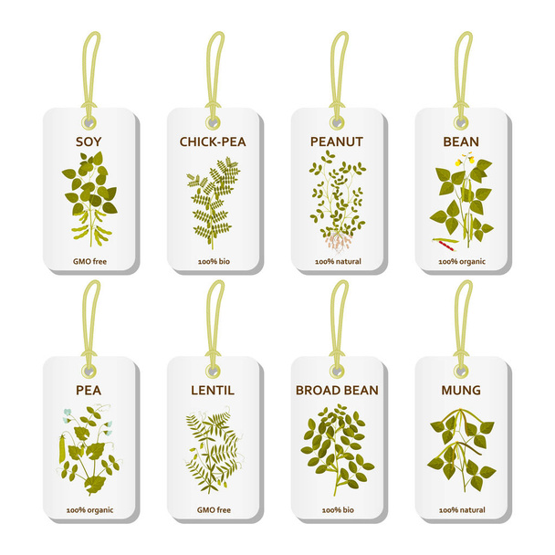 Etiquetas com legumes plantas com folhas, vagens e flores
 - Vetor, Imagem