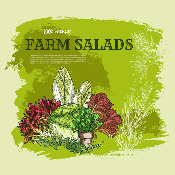Φύλλα σαλάτας και πράσινα λαχανικά σκίτσο αφίσα - Διάνυσμα, εικόνα