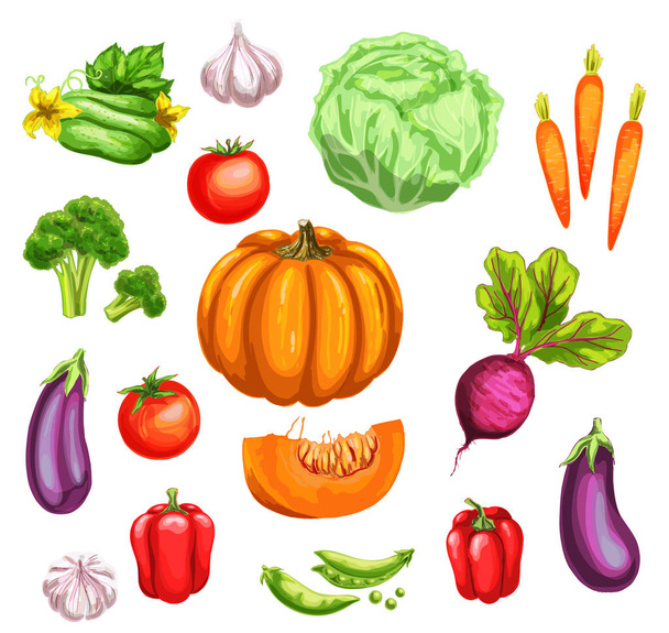 Conjunto de acuarelas vegetales de verduras orgánicas frescas
 - Vector, imagen
