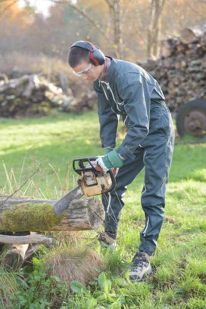 Man using chainsaw and man - Foto, afbeelding