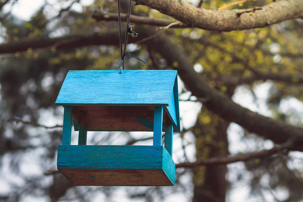 Blauer Futtertrog für Vögel auf einem hölzernen Baum - Foto, Bild