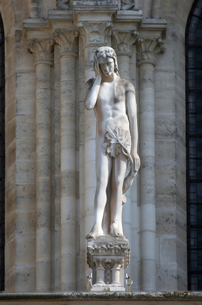 アダムは、ノートルダム大聖堂、パリの像 - 写真・画像