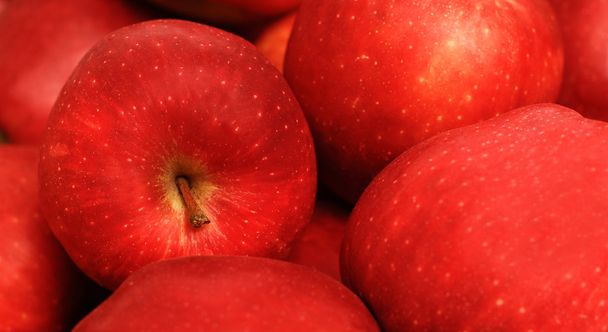 Délicieuses pommes rouges
 - Photo, image
