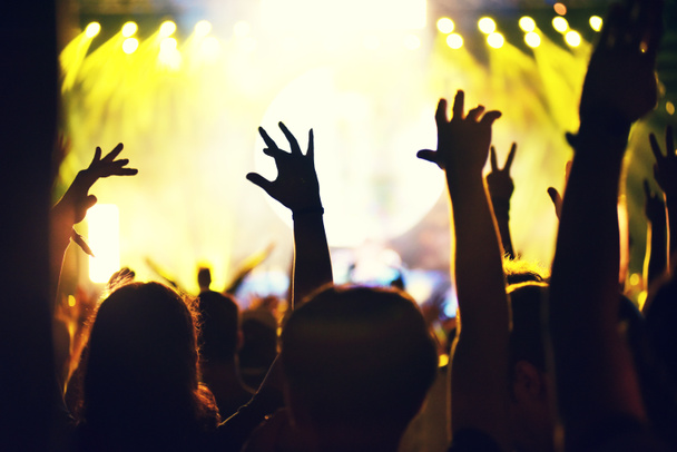 Crowd at a music concert, audience raising hands up - Photo, Image