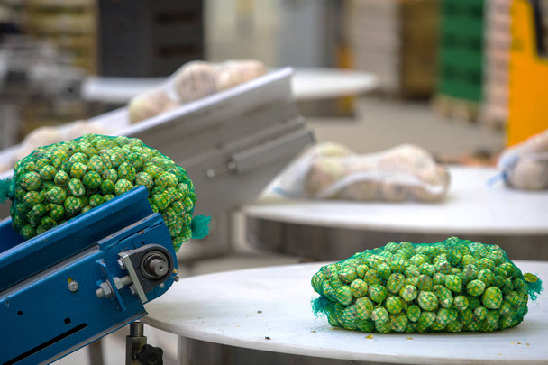 A gyümölcs- és zöldség nagykereskedelem gépek - Fotó, kép