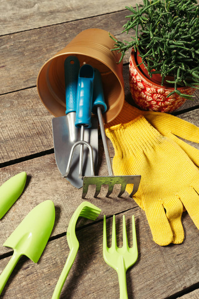 composition of garden tools - Photo, Image