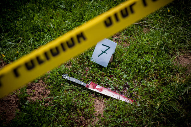 Tatort, Mord, Ermittlungen, blutiges Messer im Gras - Foto, Bild