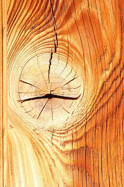 πολύχρωμο ερυθρελάτης ξύλο υφή - Φωτογραφία, εικόνα