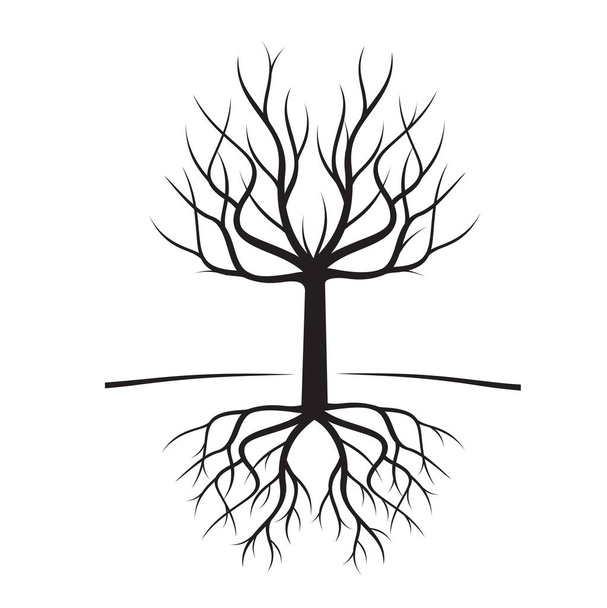 Black Naked Trees and Roots. Vector Illustration. - Vector, Image
