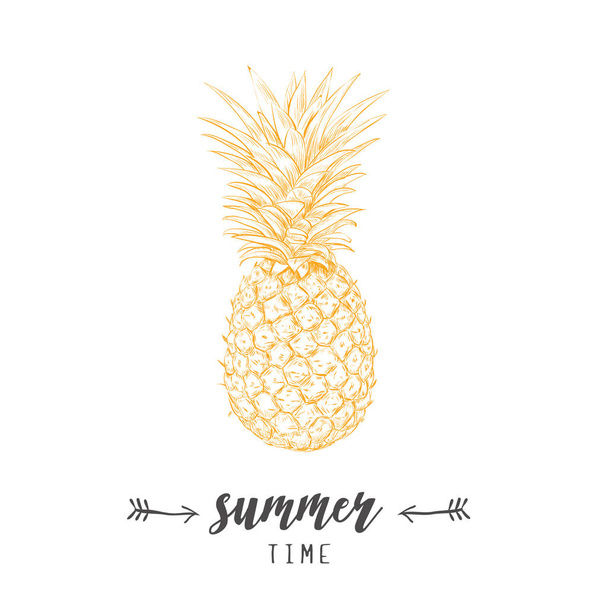 Pineapple yellow  skech. Letitering summer  - Vector, Image