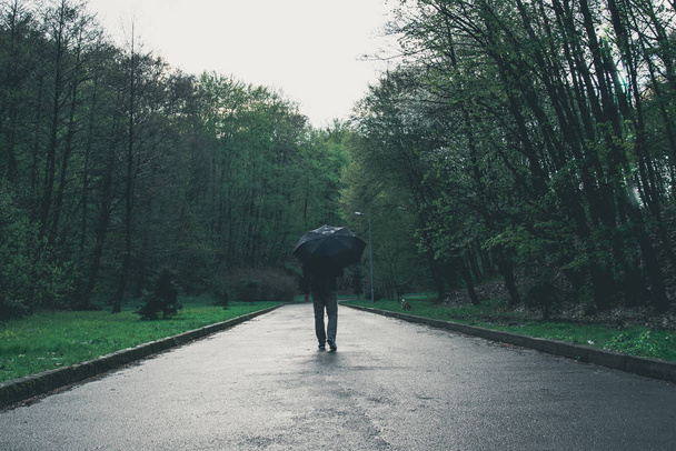 homem caminha pelo parque no dia chuvoso
 - Foto, Imagem