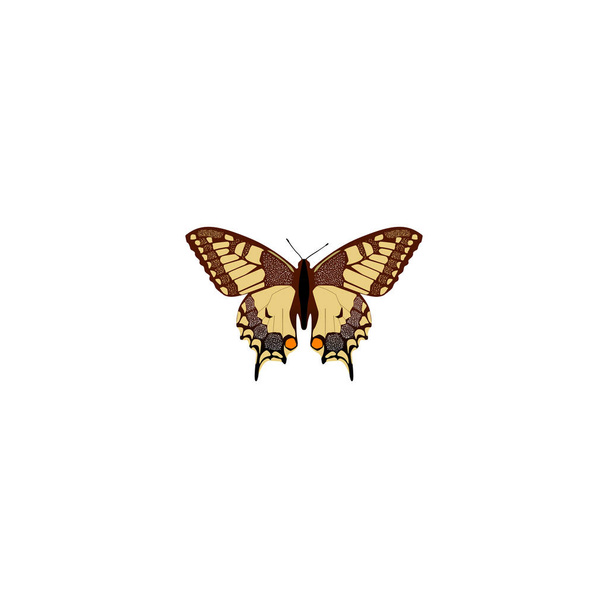 Realistyczne Checkerspot Element. Ilustracja wektorowa realistyczne swallowtail Tiger na białym tle na czyste podłoże. Mogą być używane jak Tygrys, Swallowtail motyl symboli. - Wektor, obraz