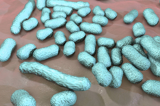 Bactéria Acinetobacter baumannii
 - Foto, Imagem