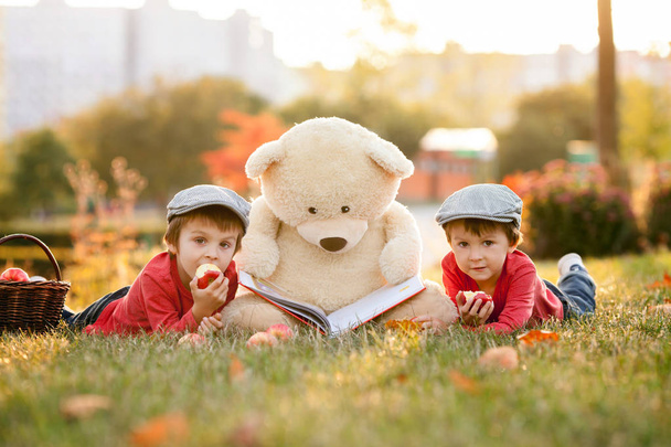 Two adorable little boys with his teddy bear friend in the park  - Fotoğraf, Görsel