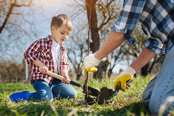 Little boy planting tree with his dad - Foto, Imagem