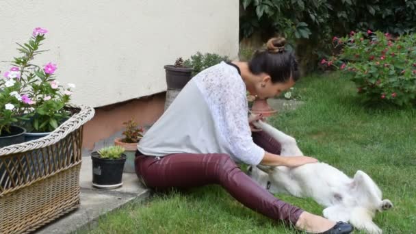 witte hond ligt op zijn rug en het meisje, zijn eigenaar hem knuffelen - Video