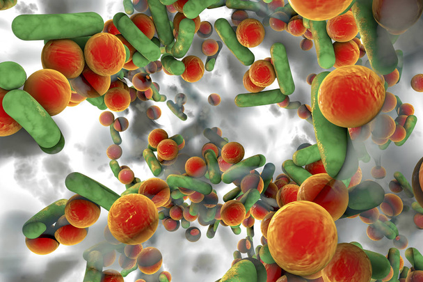 Biofilm of antibiotic resistant bacteria - Photo, Image