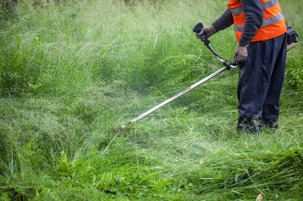 El jardinero cortando hierba por cortacésped
 - Foto, Imagen