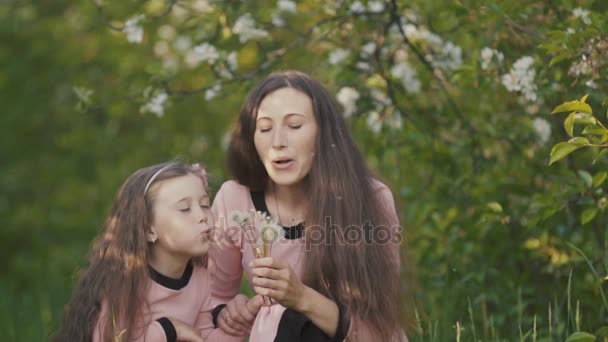 Mom and daughter blowing on a dandelion - Video, Çekim