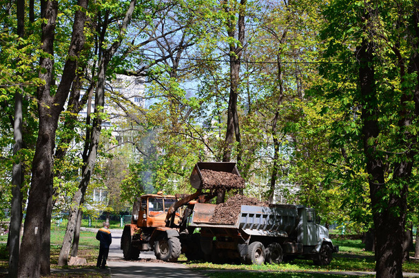 Команда по благоустройству города убирает опавшие листья в парке с помощью экскаватора и грузовика. Регулярные сезонные работы по улучшению общественных мест отдыха
 - Фото, изображение