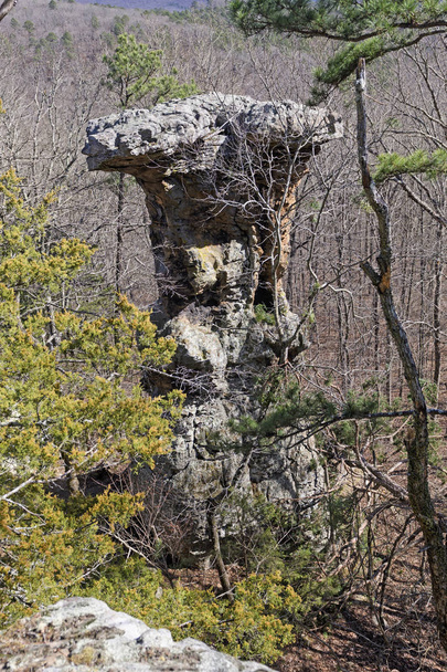 Pedestal Rock in the Forest - Fotoğraf, Görsel