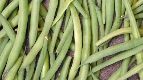 Rostlinné zelené fazole jíst v kuchyni - Záběry, video