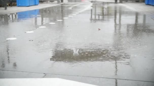 O movimento lento da chuva deixa cair água - chuva no asfalto
 - Filmagem, Vídeo